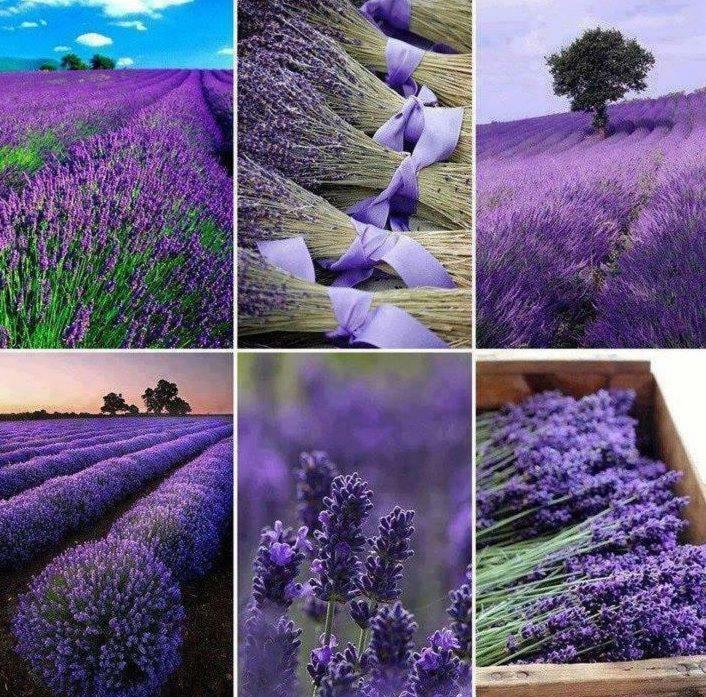"Le Pigeonnier" Chambre D'Hote Piegros-la-Clastre Екстер'єр фото